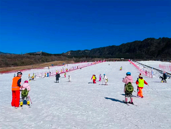 遊客同比上升超77%  元旦雅安冰雪陽光旅遊持續火熱_fororder_遊客們在王崗坪景區滑雪-供圖-雅安市文化體育和旅遊局