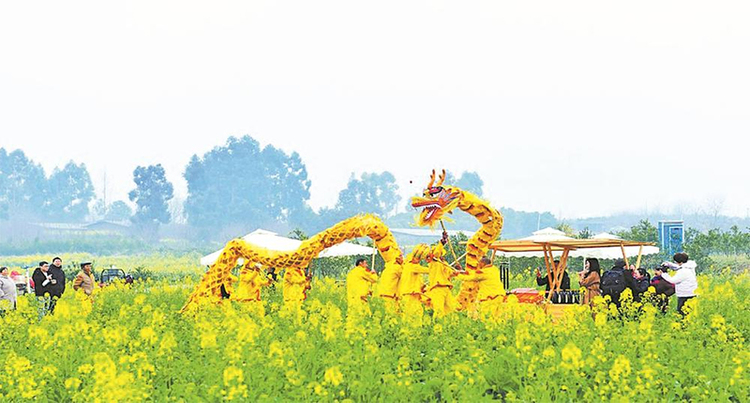（轉載）金波泛浪踏春風 油菜花香滿蓉城_fororder_未標題-2