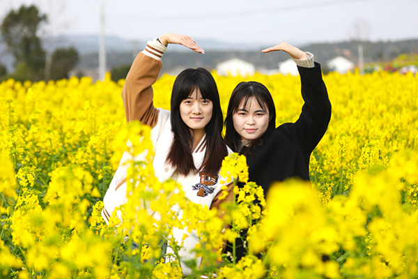 廣元昭化油菜花：顏值與産值齊飛_fororder_A[10R8~2%DG`EQYR6MD)_KR