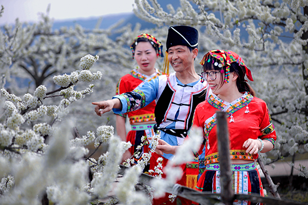 達州宣漢：萬畝李花肌如雪 笑迎四面八方客_fororder_1-(7)