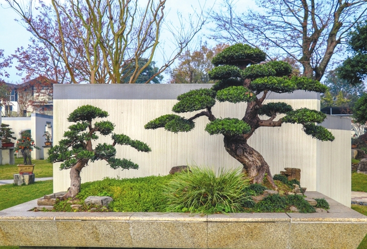 （轉載）全年花木産值約130億元 成都持續釋放“美麗經濟”放大效應
