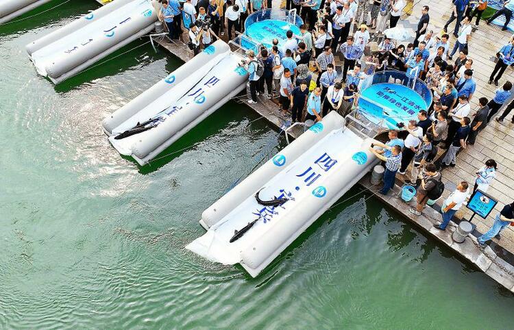 （轉載）超18萬尾珍稀魚類在宜賓放流長江_fororder_fff6e204f89d2bdecf4b6380b80b0ee6