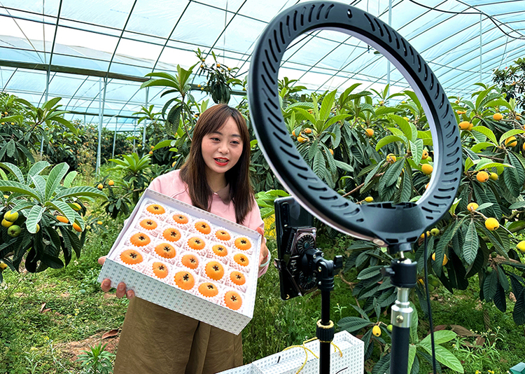 眉山仁壽：直播帶貨 助農增收_fororder_黨員志願者在果園裏通過網絡直播銷售枇杷-攝影-潘帥