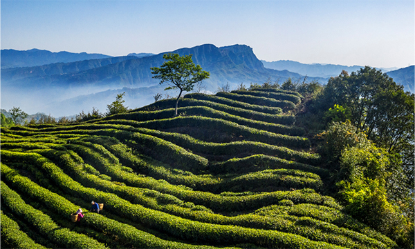 Leshan China Meets Burgos Spain, Through the Bond of World Heritage_fororder_圖片-5