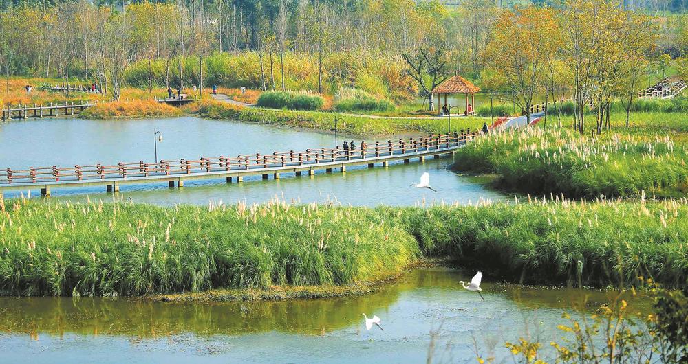 （轉載）“顏值”與“價值”的雙向奔赴 解鎖公園城市生態價值轉化新路徑