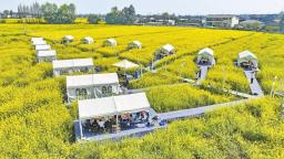 “2025春遊四川·飛花令”系列宣傳活動啟動 6條賞花精品線路邀你打卡