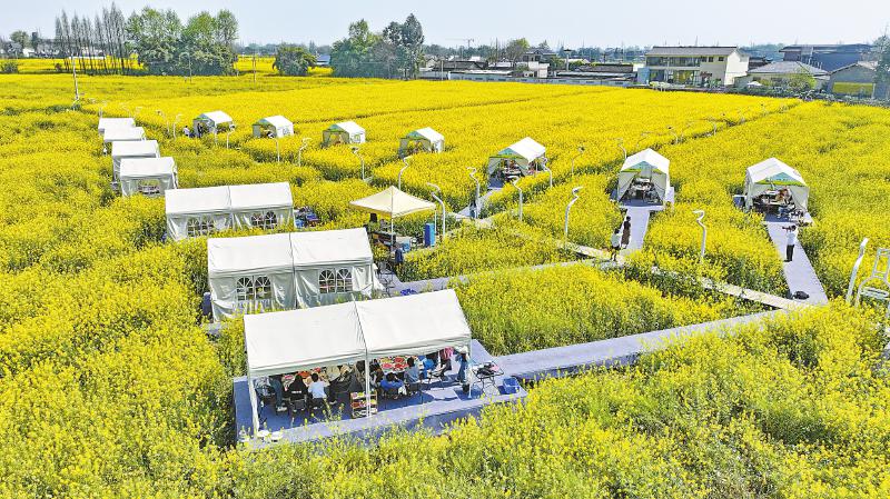 “2025春遊四川·飛花令”系列宣傳活動啟動 6條賞花精品線路邀你打卡_fororder_c3ef1273d1761e6d5ac3182ca29338a5