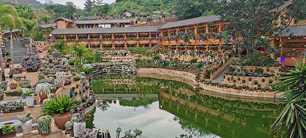 攀枝花將加快建設國際旅遊城市 打造世界級陽光康養旅遊目的地_fororder_攀枝花多肉文化主題餐廳-攝影-楊建昆