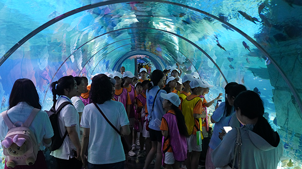 瀘州納溪：多彩繽紛夏令營開啟夏日多元成長之旅_fororder_同學們參觀瀘州海洋世界。-張玉龍-攝