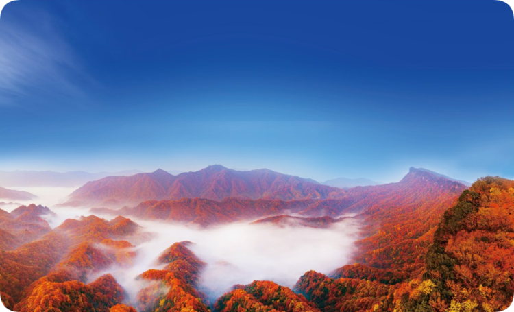 四川巴中赴上海發出“紅葉邀約” 金秋來光霧山賞天然“紅毯”_fororder_ZF0024_QWLNYoCMKdUuhWgA0mLTXfa.JPG