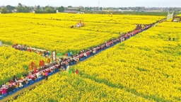 （轉載）四川各地爭相搞活“花經濟” “花式”場景多 春日消費火