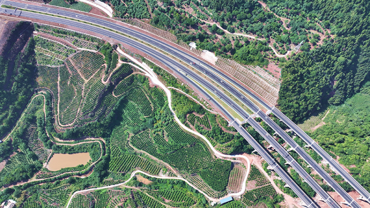 眉山仁壽：路網暢通 發展加速_fororder_2025年6月15日，航拍四川省眉山市仁壽縣大化鎮天府大道二峨山段。-07