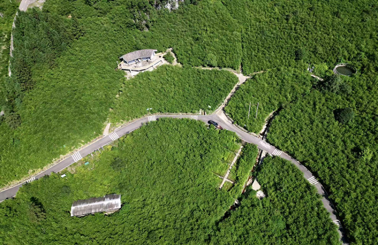 特色旅遊 綠色轉型 油茶飄香 四川興文縣奏響民族地區鄉村振興“進行曲”_fororder_圖片-3