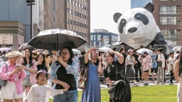 成都：經濟迸活力 文旅引熱潮