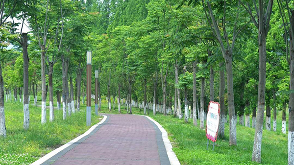 眉山洪雅 為民生寫就一首城市的“立體情詩”_fororder_龍吟灘濕地公園