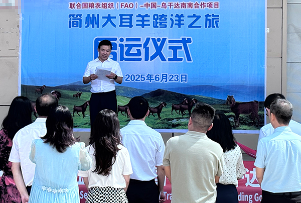 成都簡州大耳羊種羊出口烏干達_fororder_啟運儀式現場-供圖-成都市農業農村局