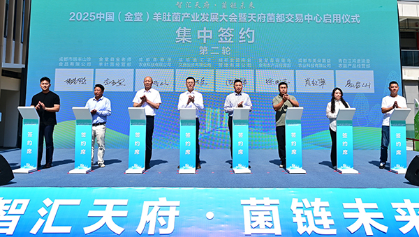 成都金堂：天府菌都交易中心正式啟用_fororder_集中簽約現場-供圖-金堂縣委宣傳部