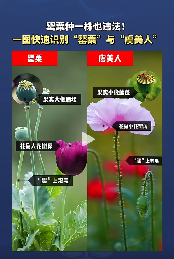 遂寧三名“小孩哥”“立功”了 手寫“舉報信”獲民警公開表揚