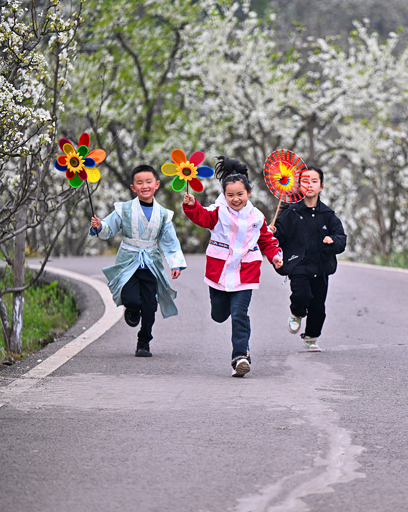眉山仁壽：梨花開 遊客來_fororder_2025年3月23日，小朋友們在四川省眉山市仁壽縣曹家鎮東聯村梨園裏開心玩耍。圖6