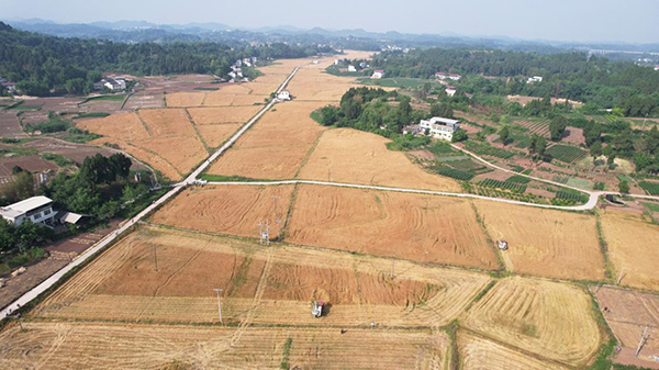 資陽樂至寶林鎮萬斤溝村：沃土育新風 善治繪新景_fororder_圖片-3