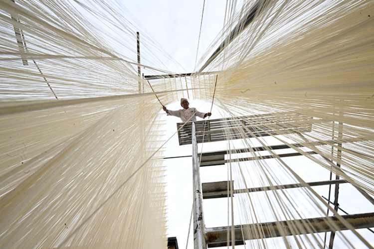 千年一面 鄉風新韻：中江掛麵村的鄉村振興實踐_fororder__DSC3616