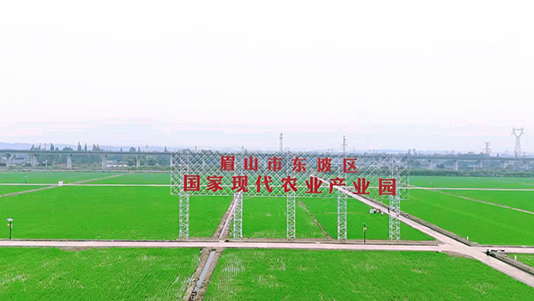 眉山東坡：培育“新農人”建設“新鄉村” 積極打造新時代更高水準“天府糧倉”示範區_fororder_農業産業園區-徐靜