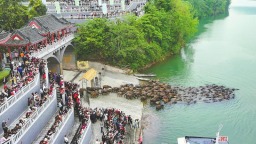 觀百牛競渡 促文旅消費