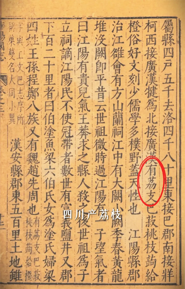《華陽國志》記載 四川真有荔枝
