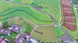 眉山仁壽：“四好農村路”條條坦途通振興