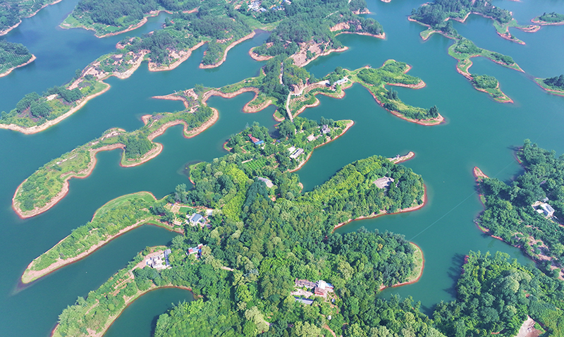 眉山仁壽：水上盆景 綠意盎然_fororder_010