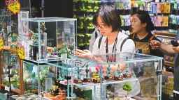 寵客吸粉 老景區有新玩法