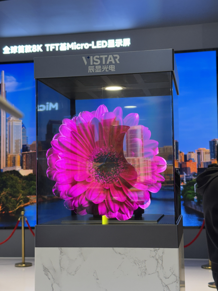 提前探館Vlog|記者帶你搶先揭秘“一塊好屏”背後的創新成果