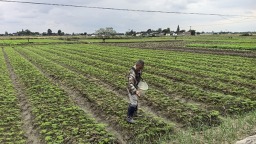 什邡：農水工程權責明 節水增效惠民生