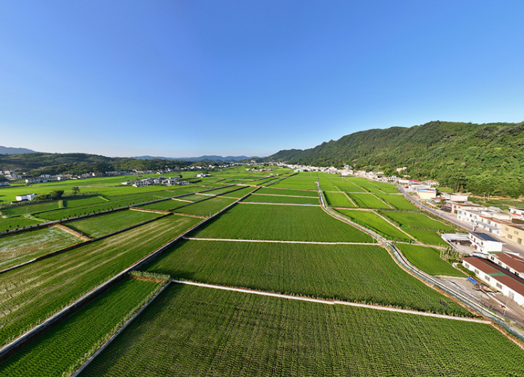 宜賓興文縣共樂鎮稻蝦共生基地：綠色農業助力鄉村振興_fororder_共樂鎮稻蝦共生基地-供圖-興文縣融媒體中心