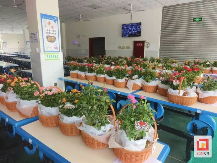 自貢高新區各學校熱烈慶祝第41個教師節