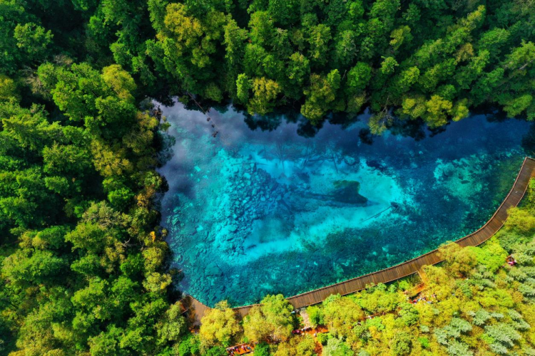 突破600萬 九寨溝景區遊客接待量創40年曆史新高_fororder_九寨溝五彩池 供圖 九寨溝景區