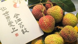 瀘州市合江縣第34屆荔枝文化旅遊季開幕