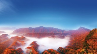 巴中向世界遞上“兩張名片” 光霧山“紅葉火炬”在河北定州傳遞