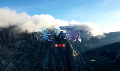 【愛在阿壩】第10集 4520的答案_fororder_10