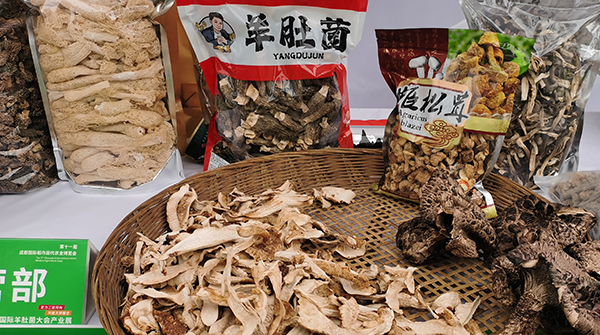 簽約金額達8億元 成都農博會金堂分會場食用菌採購計劃清單亮相_fororder_金堂幹菌類展示-供圖-金堂縣委宣傳部