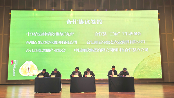 2025年合江真龍柚産銷對接會成功舉辦 共繪産業發展新藍圖_fororder_簽約儀式現場