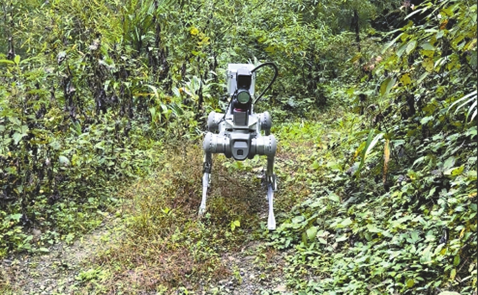 成都造“鐳射砍樹機器狗”火了
