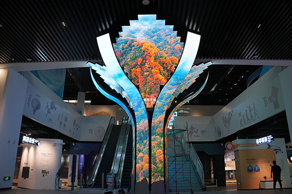 科技為筆 生態為墨 巴中科技館邀您體驗別樣科普_fororder_DSC08032