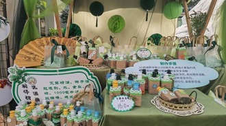 成都市錦江區學校開展“勞動+”跨學科系列活動