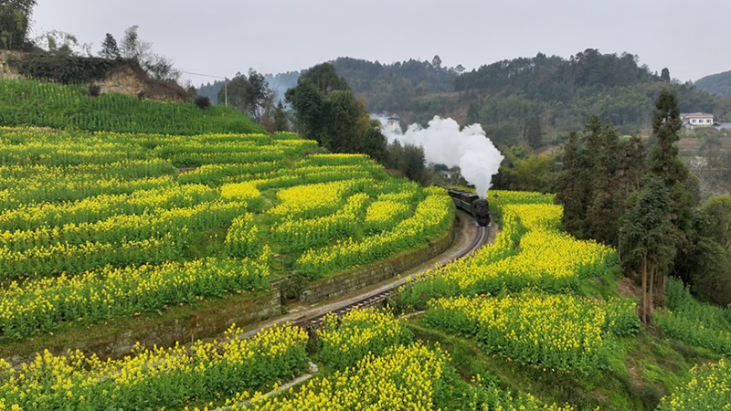 The 11th Sichuan International Travel Expo Set to Open Soon_fororder_嘉陽蒸汽小火車
