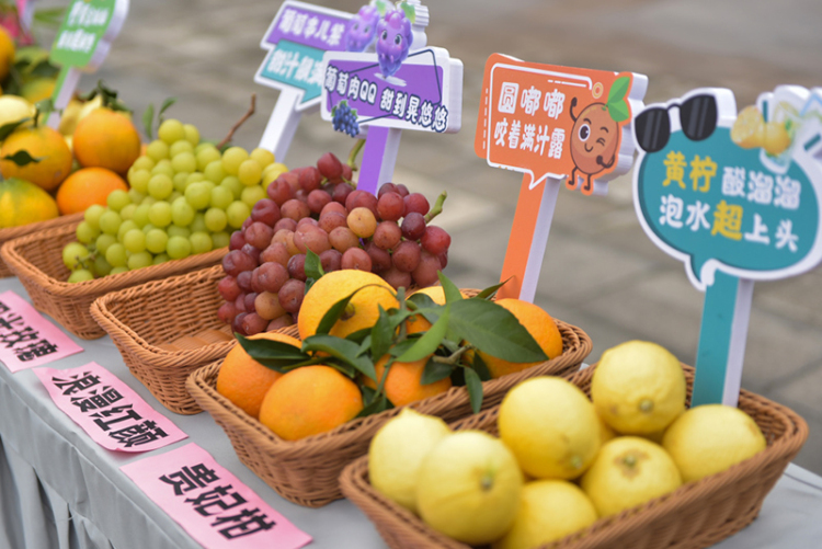 內江：村民門前開發佈會 “鄉土味”裏滿是“振興勁”_fororder_特色農産品-供圖-內江市融媒體中心