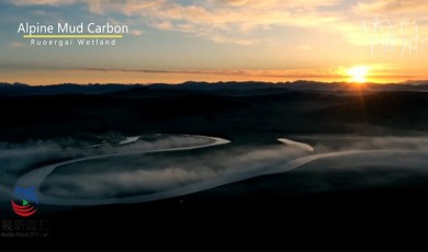 Amazing Sichuan｜Alpine Mud Carbon：The Mud of Life in The Ruoergai Wetland of the Aba Plateau_fororder_未標題-1