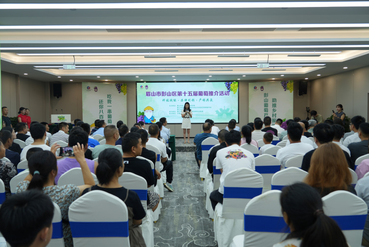 第十五屆彭山葡萄推介活動盛大開幕 科技賦能打造“甜蜜産業”新標杆_fororder_圖片1
