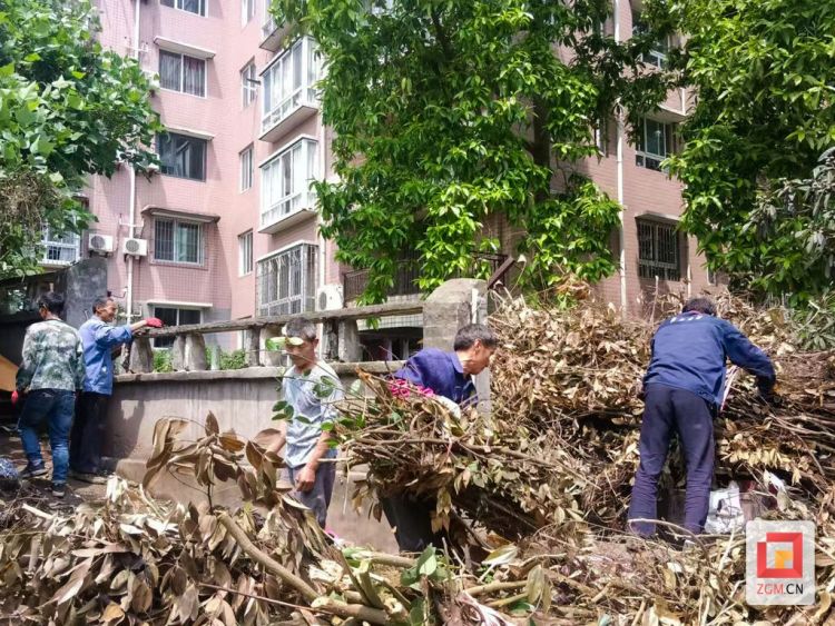 以“清”促“防” 自貢高新區三級聯動築牢春夏森林防火線
