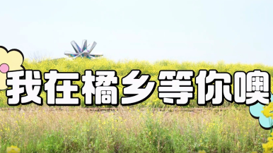 Ballad of Citrus Valley_fororder_微信截圖_20250328151519